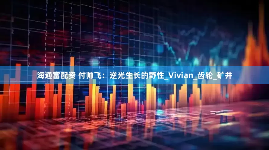 海通富配资 付帅飞：逆光生长的野性_Vivian_齿轮_矿井