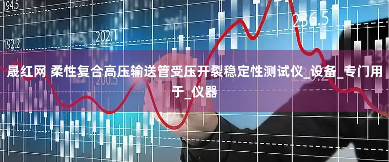 晟红网 柔性复合高压输送管受压开裂稳定性测试仪_设备_专门用于_仪器