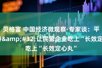 贝格富 中国经济微观察·专家谈：平等对待&#32;让民营企业吃上“长效定心丸”