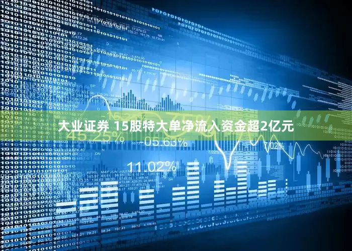 大业证券 15股特大单净流入资金超2亿元